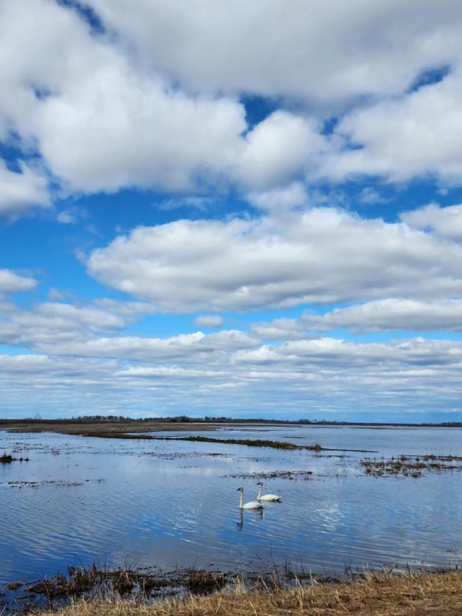 格兰特斯伯格汽车旅馆 Grantsburg 外观 照片